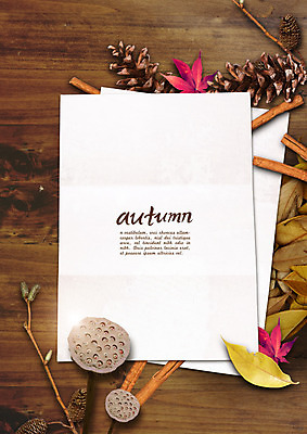 PSD 편집 편집이미지 종이 단풍 낙엽 사각프레임 사람없음 가을 나뭇가지 솔방울 시나몬스틱 이미지편집 나무 계절 잎 프레임 사각형 시나몬 파일형식