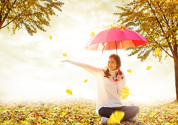 전신 PSD 나무 구름 편집 편집이미지 여자 여행 낙엽 우산 하늘 한명 웃음 앉기 20대 성인 취미 한국인 가을 은행잎 성인여자한명만 이미지편집 자연요소 식물 1 계절 잎 모션 표정 사람 동양인 청년 여자한명만 성인여자만 파일형식