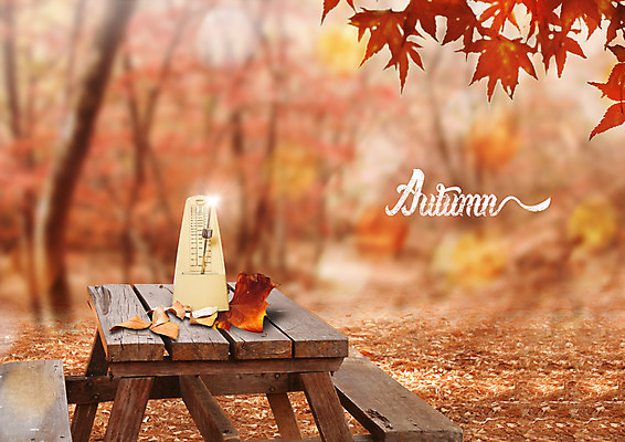 PSD 편집 편집이미지 음악 단풍 낙엽 벤치 탁자 사람없음 가을 숲 메트로놈 이미지편집 계절 가구 잎 의자 문화예술 파일형식