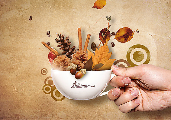 PSD 편집 편집이미지 손 커피 낙엽 한손 한명 들기 신체부위 원두 가을 커피잔 도토리 솔방울 이미지편집 1 계절 음료 잎 모션 잔 사람 견과류 파일형식