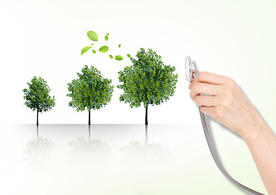 PSD 나무 편집 편집이미지 손 청진기 자연 나뭇잎 한손 그림자 한명 신체부위 자연보호 환경 그린캠페인 이미지편집 식물 1 캠페인 잎 의료기기 사람 보호 생태계 파일형식