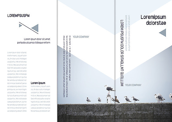 템플릿 편집 표지디자인 북디자인 출판디자인 표지 리플렛 북커버 여러마리 3단접지 자연 갈매기 팜플렛 사람없음 이미지템플릿 AI파일 다수 조류 생태계 파일형식 벡터