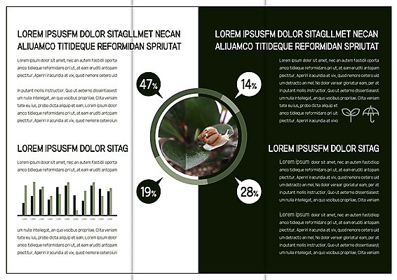 템플릿 편집 한마리 표지디자인 북디자인 출판디자인 내지 리플렛 말풍선 북커버 우산 3단접지 자연 그래프 나뭇잎 팜플렛 사람없음 새싹 퍼센트 달팽이 이미지템플릿 AI파일 식물 1 잎 연체동물 특수기호 생태계 파일형식 벡터