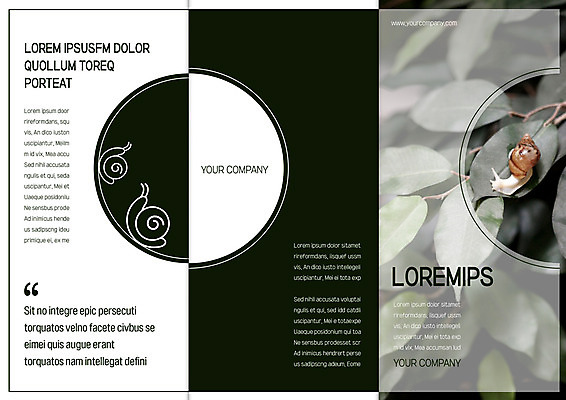 템플릿 편집 표지디자인 북디자인 출판디자인 표지 리플렛 북커버 3단접지 자연 나뭇잎 팜플렛 사람없음 달팽이 이미지템플릿 AI파일 잎 연체동물 생태계 파일형식 벡터