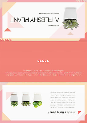 템플릿 편집 표지디자인 북디자인 출판디자인 표지 화분 리플렛 북커버 3단접지 자연 팜플렛 사람없음 원예 다육식물 이미지템플릿 AI파일 식물 취미 생태계 파일형식 벡터