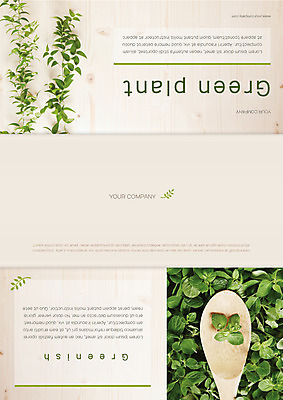 식물 템플릿 편집 표지디자인 북디자인 출판디자인 표지 리플렛 북커버 3단접지 팜플렛 사람없음 숟가락 허브 이미지템플릿 AI파일 수저 파일형식 벡터