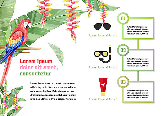 PSD 템플릿 편집 한마리 표지디자인 북디자인 출판디자인 내지 리플렛 북커버 나뭇잎 팜플렛 사람없음 선글라스 뷰티 선크림 앵무새 스노클링용품 이미지템플릿 1 안경 스포츠용품 잎 조류 화장품 스노클링 파일형식