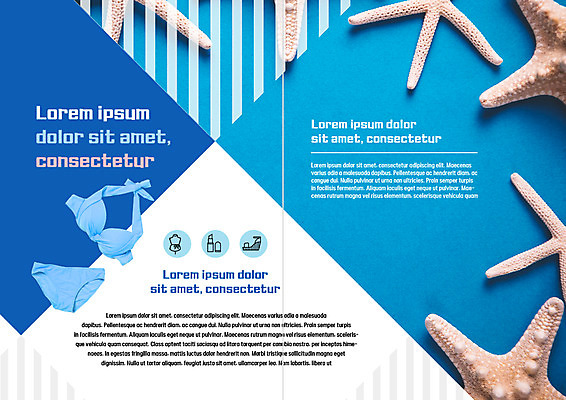 PSD 템플릿 편집 표지디자인 북디자인 출판디자인 내지 리플렛 북커버 불가사리 팜플렛 사람없음 여름 여름휴가 바캉스 비키니 뷰티 이미지템플릿 계절 수영복 휴가 극피동물 파일형식 여름_계절