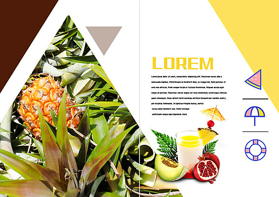 PSD 템플릿 편집 표지디자인 북디자인 출판디자인 내지 리플렛 북커버 과일 우산 나뭇잎 여름음식 잔 수박 팜플렛 사람없음 여름 여름휴가 바캉스 파라솔 멜론 파인애플 튜브 제철음식 제철과일 이미지템플릿 식기 계절 음식 잎 휴가 열대과일 제철 파일형식 여름_계절