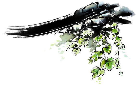 PSD 한국문화 한국전통 전통문화 일러스트 캘리그라피 붓터치 사람없음 담쟁이덩굴 국내일러스트 동양문화 전통 문화 한국 덩굴 파일형식