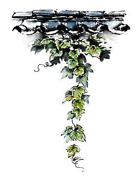 PSD 한국문화 한국전통 전통문화 일러스트 캘리그라피 기와 사람없음 담장 담쟁이덩굴 국내일러스트 동양문화 전통 문화 한국 덩굴 파일형식