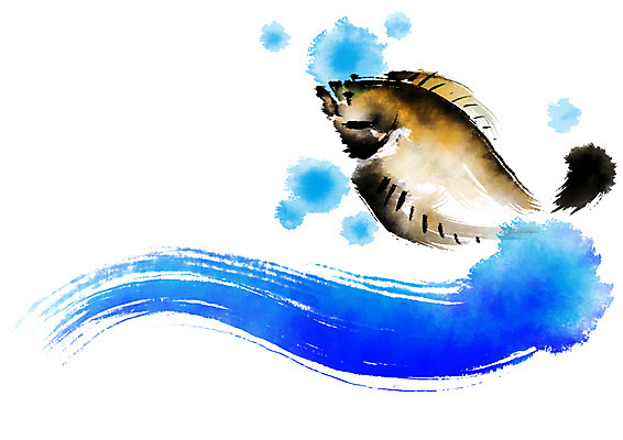 PSD 한마리 일러스트 캘리그라피 자연 붓터치 어류 사람없음 해산물 넙치 광어 국내일러스트 1 수중동물 생태계 파일형식