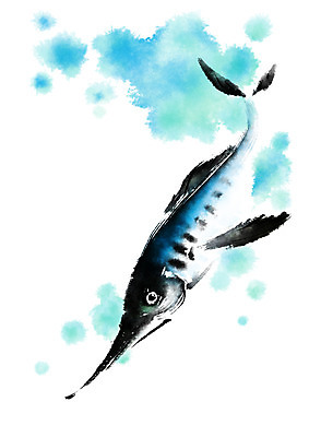 PSD 한마리 일러스트 캘리그라피 자연 붓터치 어류 사람없음 해산물 학꽁치 국내일러스트 1 수중동물 생태계 파일형식