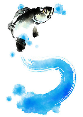 PSD 한마리 일러스트 캘리그라피 자연 붓터치 어류 사람없음 해산물 우럭 국내일러스트 1 수중동물 생태계 파일형식