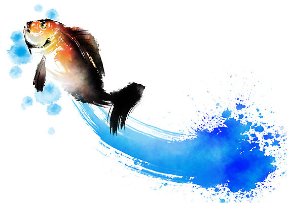 PSD 한마리 일러스트 캘리그라피 자연 붓터치 어류 사람없음 해산물 도미 국내일러스트 1 수중동물 생태계 파일형식