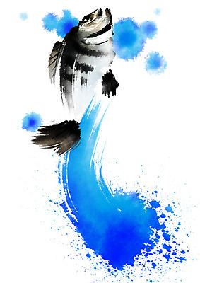 PSD 한마리 일러스트 캘리그라피 자연 붓터치 어류 사람없음 해산물 돌돔 국내일러스트 1 수중동물 생태계 파일형식