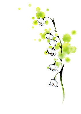 PSD 꽃 여러송이 일러스트 캘리그라피 자연 사람없음 국내일러스트 식물 다수 생태계 파일형식