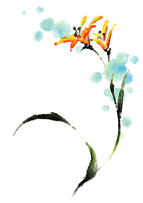 PSD 꽃 일러스트 캘리그라피 자연 사람없음 두송이 국내일러스트 식물 2 생태계 파일형식