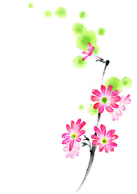 PSD 꽃 분홍색 여러송이 일러스트 캘리그라피 자연 사람없음 국내일러스트 식물 컬러 다수 생태계 파일형식