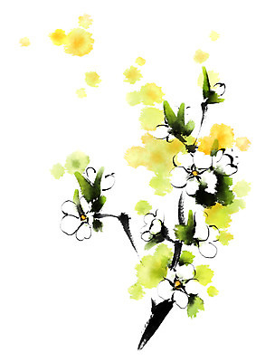 PSD 꽃 여러송이 일러스트 캘리그라피 자연 사람없음 국내일러스트 식물 다수 생태계 파일형식