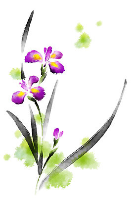 PSD 꽃 일러스트 캘리그라피 자연 사람없음 보라색 난초 세송이 난초꽃 국내일러스트 식물 컬러 3 생태계 파일형식