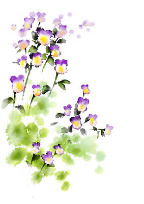 PSD 꽃 여러송이 일러스트 캘리그라피 자연 사람없음 보라색 국내일러스트 식물 컬러 다수 생태계 파일형식