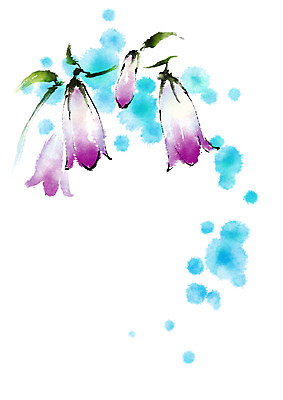 PSD 꽃 여러송이 일러스트 캘리그라피 자연 사람없음 보라색 국내일러스트 식물 컬러 다수 생태계 파일형식