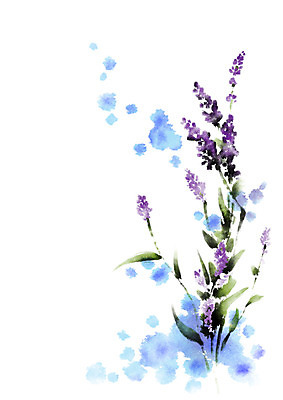 PSD 꽃 여러송이 일러스트 캘리그라피 자연 사람없음 보라색 국내일러스트 식물 컬러 다수 생태계 파일형식