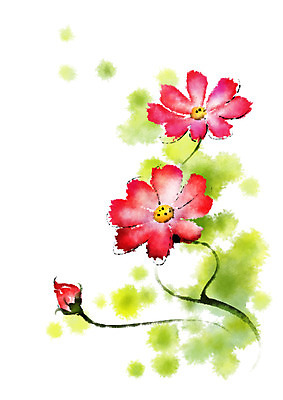 PSD 꽃 일러스트 캘리그라피 자연 사람없음 빨간색 코스모스 세송이 국내일러스트 식물 컬러 3 생태계 파일형식