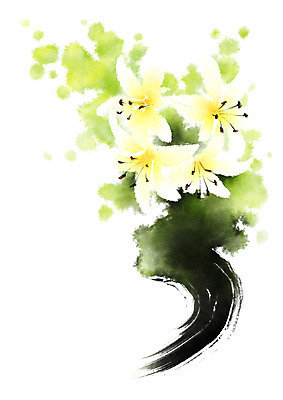 PSD 꽃 여러송이 일러스트 캘리그라피 자연 붓터치 사람없음 백합 국내일러스트 식물 다수 생태계 파일형식