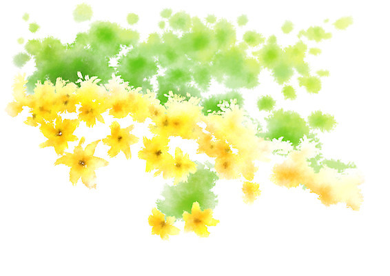 PSD 꽃 여러송이 일러스트 캘리그라피 자연 사람없음 노란색 개나리 국내일러스트 식물 컬러 다수 생태계 파일형식