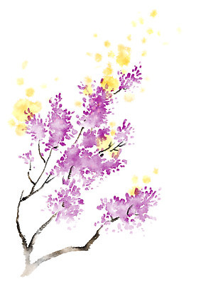 PSD 꽃 일러스트 캘리그라피 자연 사람없음 나뭇가지 국내일러스트 나무 식물 생태계 파일형식