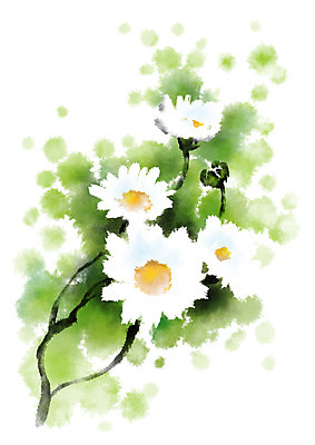 PSD 꽃 여러송이 일러스트 캘리그라피 자연 사람없음 국내일러스트 식물 다수 생태계 파일형식