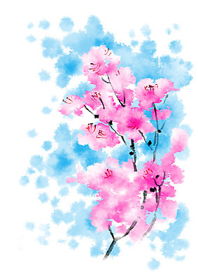 PSD 꽃 분홍색 여러송이 일러스트 캘리그라피 자연 사람없음 국내일러스트 식물 컬러 다수 생태계 파일형식