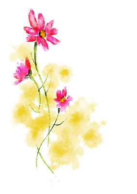 PSD 꽃 분홍색 일러스트 캘리그라피 자연 사람없음 코스모스 세송이 국내일러스트 식물 컬러 3 생태계 파일형식