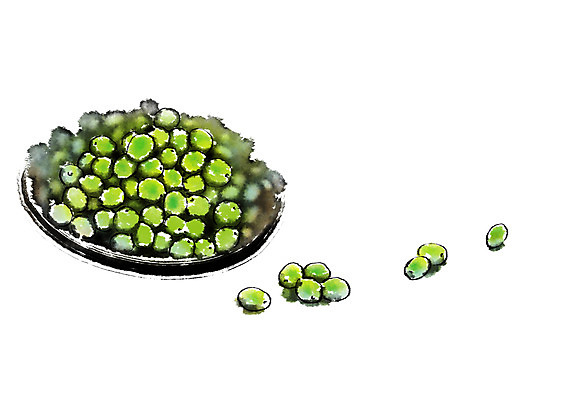 PSD 음식 일러스트 캘리그라피 자연 사람없음 광주리 매실 국내일러스트 바구니 생태계 파일형식