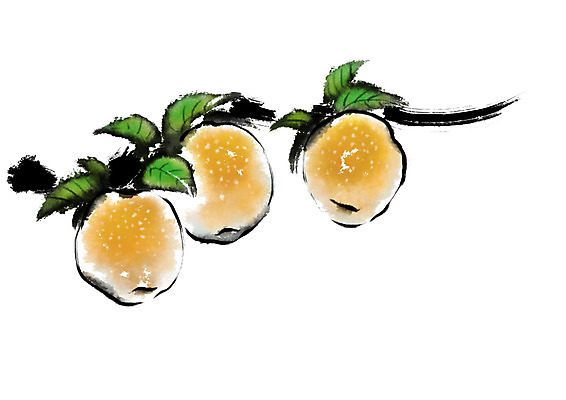 PSD 열매 음식 잎 일러스트 캘리그라피 자연 사람없음 배 국내일러스트 식물 과일 생태계 파일형식