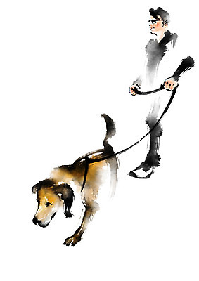 PSD 한마리 남자 일러스트 캘리그라피 한명 성인 선글라스 개 장애인 목줄 반려 시각장애인 안내견 국내일러스트 1 안경 포유류 사람 장애 파일형식 반려용품