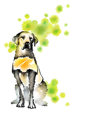 PSD 한마리 일러스트 캘리그라피 한명 사람없음 개 목줄 반려 안내견 국내일러스트 1 포유류 사람 파일형식 반려용품