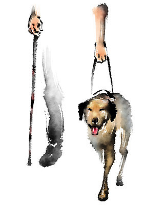 PSD 한마리 일러스트 캘리그라피 지팡이 한명 개 장애인 메롱 목줄 반려 시각장애인 안내견 국내일러스트 1 포유류 모션 사람 장애 파일형식 반려용품