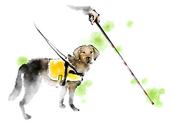 PSD 한마리 손 일러스트 캘리그라피 지팡이 한손 신체부위 개 장애인 목줄 반려 시각장애인 안내견 국내일러스트 1 포유류 사람 장애 파일형식 반려용품