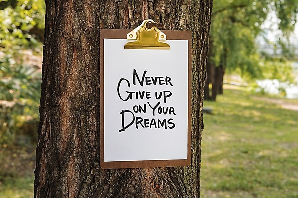 주간 PSD 나무 편집이미지 종이 캘리그라피 사람없음 야외 공책 파일 목업 이미지편집 자연요소 식물 문구용품 파일형식