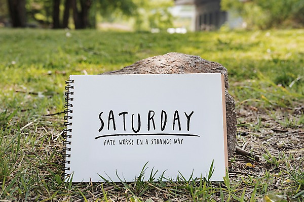 주간 PSD 편집이미지 캘리그라피 잔디 사람없음 야외 공책 돌_바위 목업 이미지편집 자연요소 식물 문구용품 파일형식