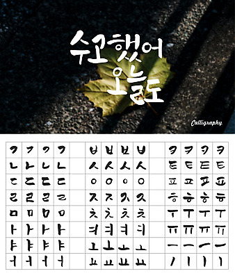 손글씨 캘리배경 백그라운드 일러스트 캘리그라피 나뭇잎 타이포그라피 한글 사람없음 세트 감성 모음 자음 조합형타이포 국내일러스트 AI파일 문자 컨셉 잎 파일형식 벡터