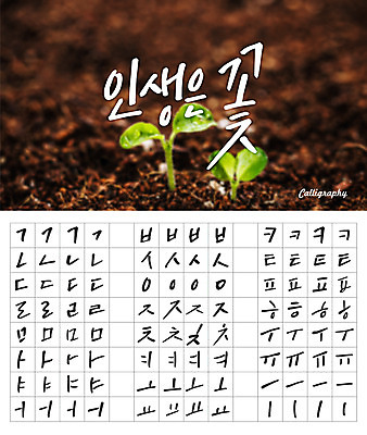 손글씨 캘리배경 백그라운드 일러스트 캘리그라피 타이포그라피 한글 사람없음 세트 새싹 흙 감성 모음 자음 조합형타이포 국내일러스트 AI파일 식물 문자 컨셉 파일형식 벡터