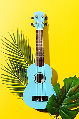 포토 JPG 스튜디오촬영 악기 컬러 하늘색 나뭇잎 실내 사람없음 여름 컬러풀 노란색 우쿨렐레 국내포토 계절 음악 잎 현악기 내부 파란색 파일형식