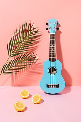 포토 JPG 스튜디오촬영 분홍색 컬러 하늘색 나뭇잎 실내 그림자 사람없음 컬러풀 우쿨렐레 레몬 국내포토 잎 과일 현악기 내부 파란색 파일형식