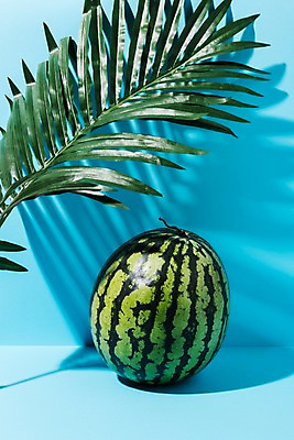 포토 JPG 스튜디오촬영 컬러 하늘색 나뭇잎 여름음식 수박 실내 그림자 사람없음 여름 컬러풀 제철음식 제철과일 과채 국내포토 계절 음식 잎 채소 과일 내부 파란색 제철 파일형식 여름_계절