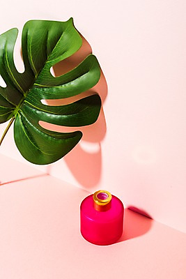 포토 JPG 스튜디오촬영 컬러 나뭇잎 실내 그림자 사람없음 컬러풀 향수 디퓨저 국내포토 잎 내부 화장품 파일형식