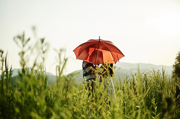 포토 JPG 주간 커플 공원 여자 남자 실루엣 데이트 우산 서기 들기 상반신 20대 성인 야외 두명 옆모습 아웃포커스 한국인 풀숲 국내포토 자연요소 공공시설 뷰포인트 관계 모션 촬영기법 사람 동양인 청년 숲 파일형식